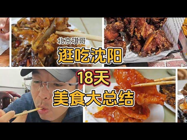 北京琪哥逛吃沈阳18天，网友推荐美食攻略大总结，游客必吃5大类