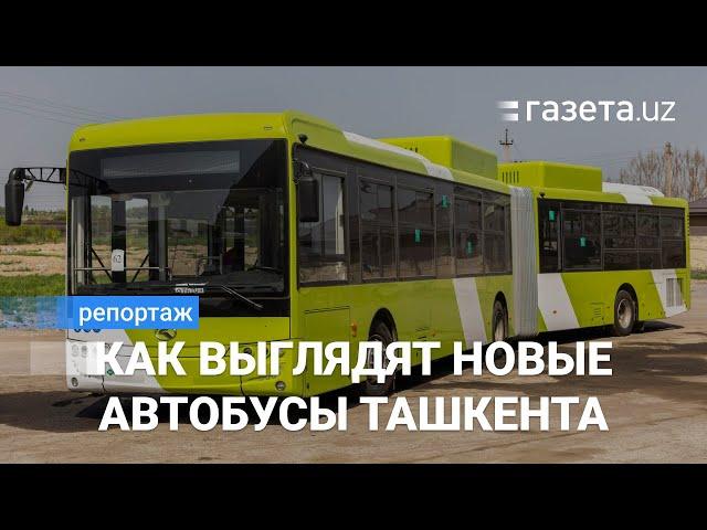 Обзор новых автобусов Ташкента