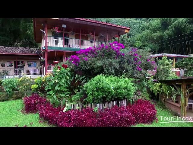 Finca Tradicional Cafetera - Dosquebradas - TourFincas