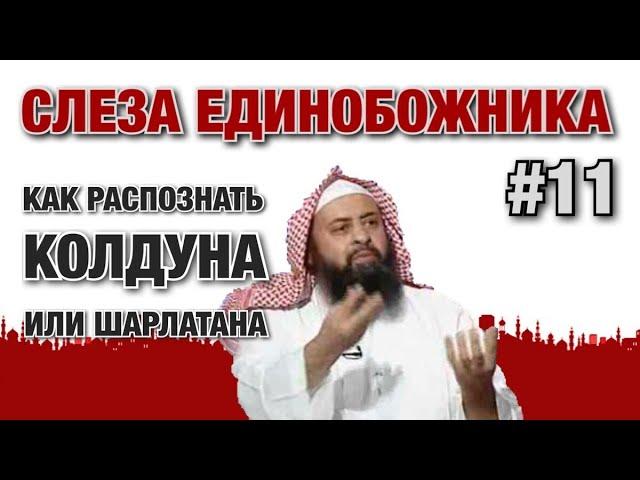 Слеза единобожника #11. По каким признакам можно распознать колдуна или шарлатана