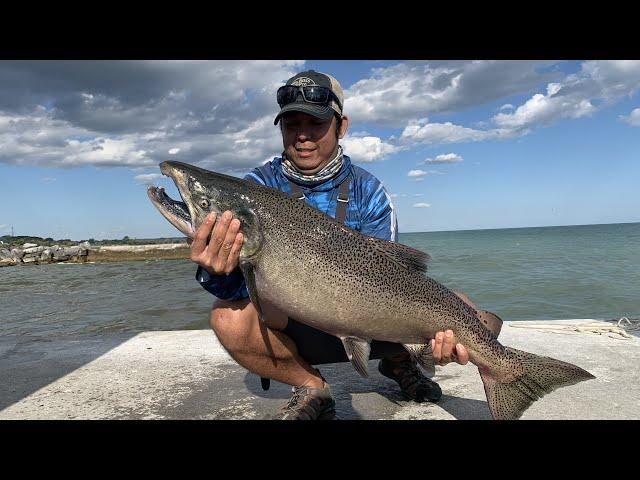 CHINOOK SALMON FISHING | Port Hope Ontario