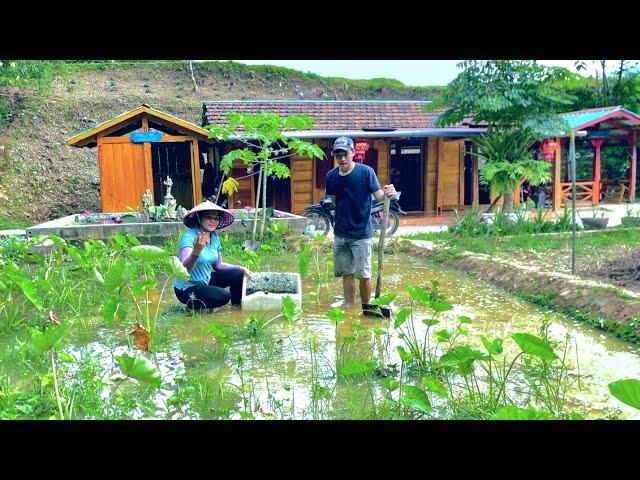 Together Harvest snails to raise in large quantities.  The journey of farm economic development