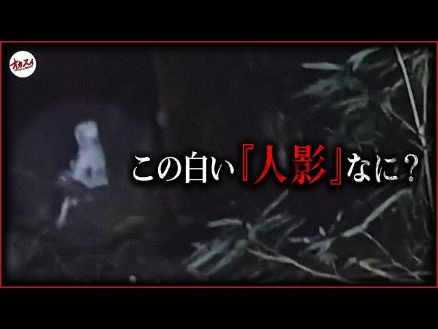 【心霊】これ霊？何？…「あんなとこに人がいるわけがない」─宮崎心霊スペシャル─