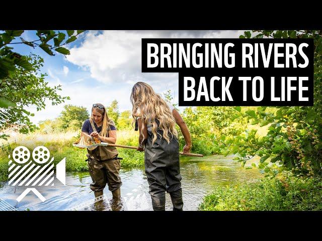 River Clean Up | Back to Life | UK Nature Restoration | WWF