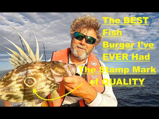 Salt Water Fishing - Catch, Clean, Cook. (Ft John Dorry,Pig Fish)(ft Magic Fish Burger)