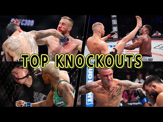 Top MMA Knockouts 2024