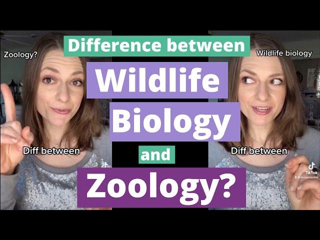 Zoology and Wildlife Biology: Difference between them?