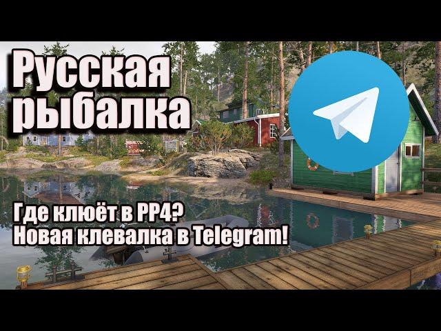 Где клюёт в РР4? Новая клевалка в Telegram! Русская рыбалка 4