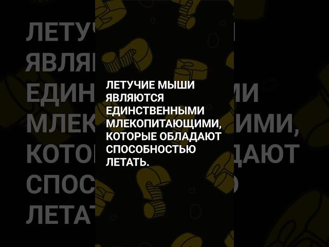 Интересный факт! А ты знал? #открытия #тайны #загадки #факт #факты #расследования #история #наука