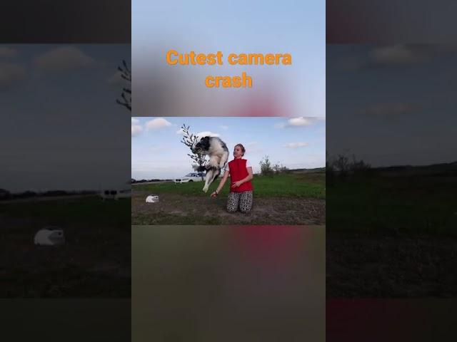 Cutest camera crash_Blue