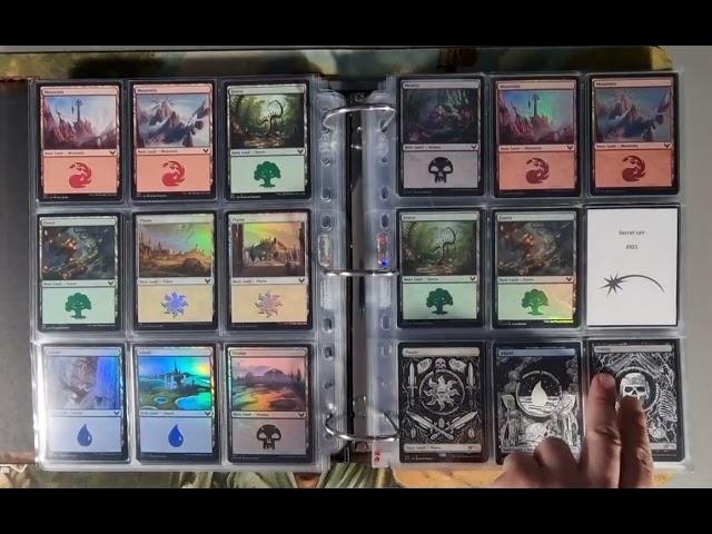 MTG English Basic Land Collection - Preview Part 5/5