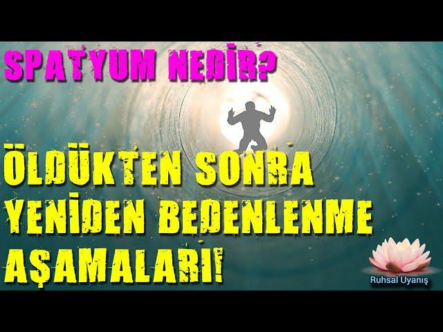 SPATYUM NEDİR? - ÖLÜMDEN SONRA TEKRAR BEDENLENME AŞAMALARI!