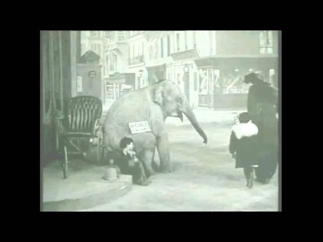 Tiny Tim and the Adventures of His Elephant (1913)