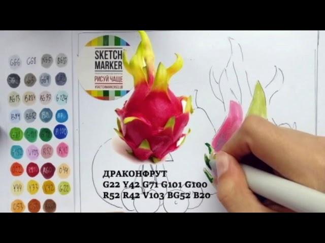 Рисуем фрукты набором маркеров SKETCHMARKER Product 36 set