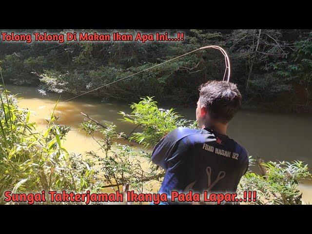 Mancing Ikan Jelawat Di Tengah Hutan Pedalaman Kalimantan Timur...!!