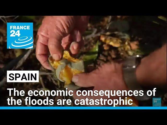 The economic consequences of the floods in Spain are catastrophic • FRANCE 24 English