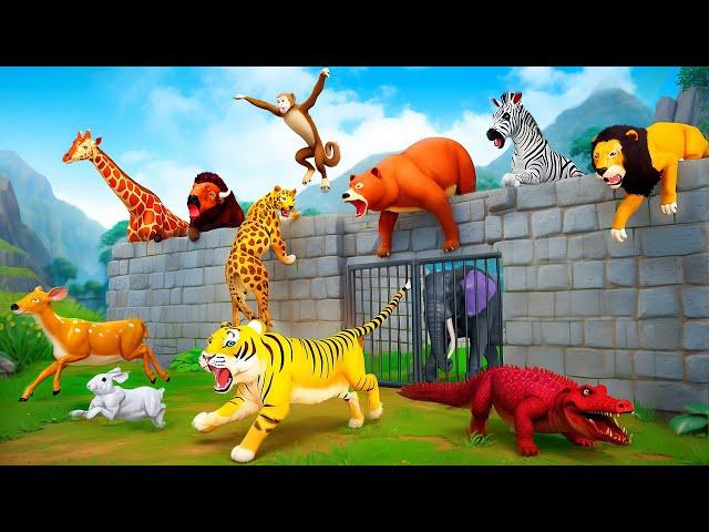 The Great Escape: Zoo Animals' Escape Adventure - Climbing the Long Fence to Freedom