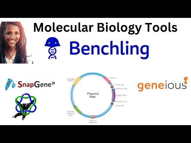 Top MOLECULAR BIOLOGY Software TOOLS Benchling, SnapGene, Geneious, ApE