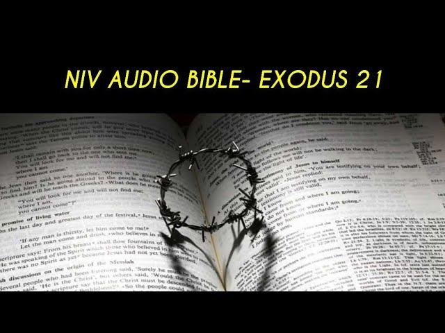 EXODUS 22 NIV AUDIO BIBLE (with text)