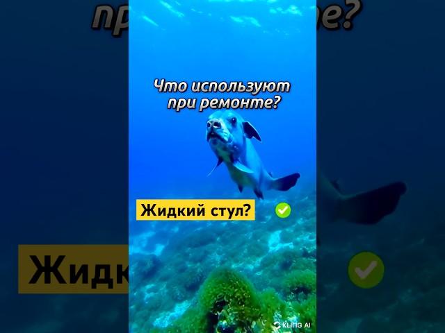 Викторина для умников  Тест на эрудицию #факты #интересно #знания #угадай #тест #опрос