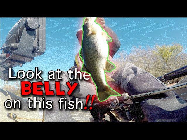 Fish the Moment with Buzzed Baits | BassSniperScooter