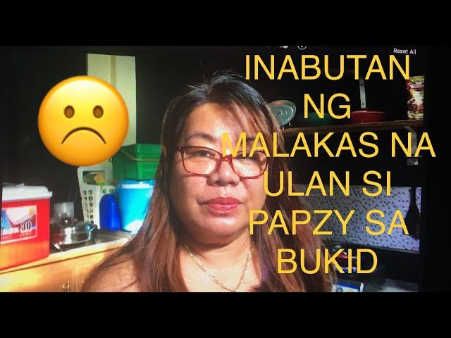 BEAUTIFUL LIFE: INABUTAN NG MALAKAS NA ULAN SI PAPAZY SA BUKID: LovelaceVLOG