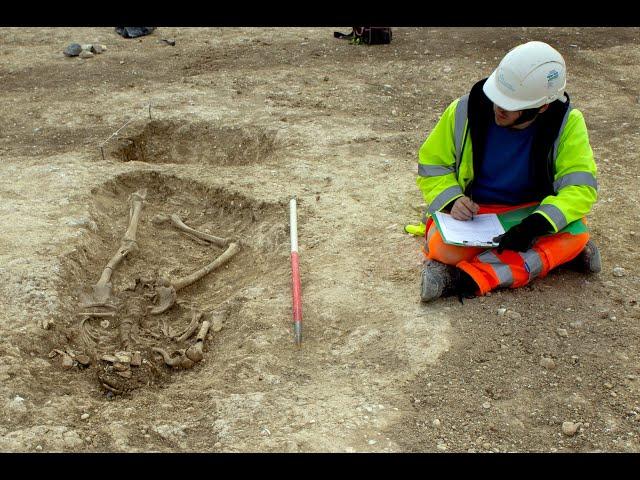 The Archaeology of the A120: What We Can Learn from Human Remains