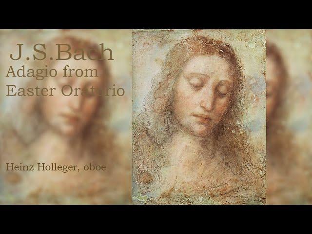 Bach: Adagio from Easter Oratorio BWV 246 - Heinz Holliger, oboe