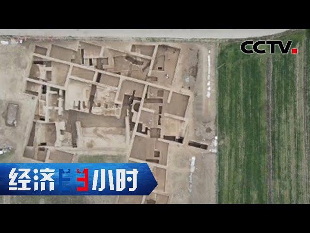 5000年前大型宫殿面世，黄土高原上发现最早的水稻遗存 「经济半小时」20221118 | CCTV财经