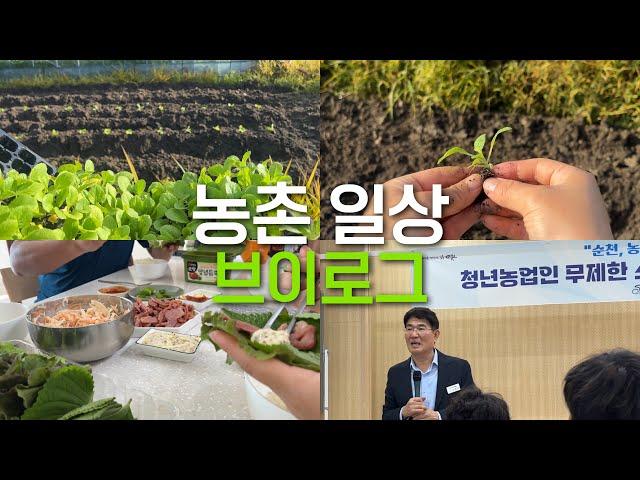 배추 심고 순천 시장님 만나는 농촌 일상