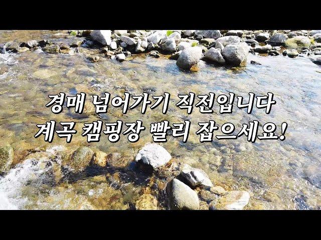 경매 넘어가기 직전입니다! 계곡 캠핑장 싸게 팝니다. 이 기회를 잡으십쇼