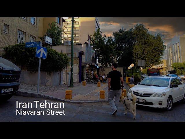 Iran Tehran Walking on Niavaran Street 4k