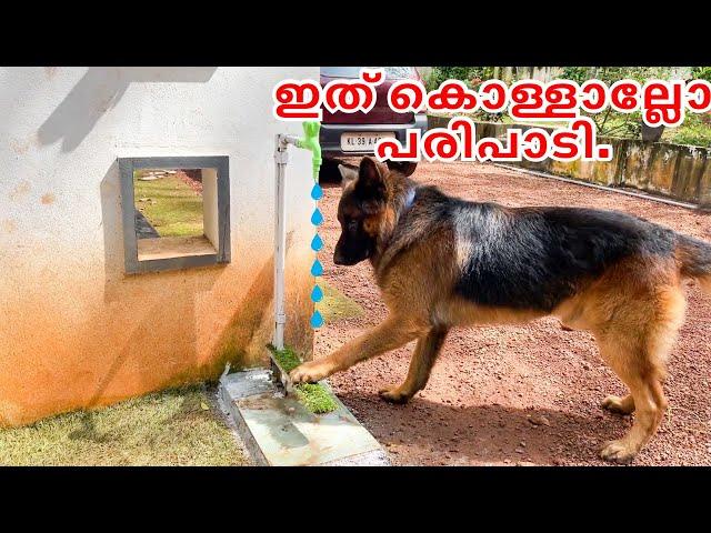 ഇനി രണ്ടുപേർക്കും സ്വന്തമായി പൈപ്പ് തുറന്ന് വെള്ളം കുടിക്കാം Automated pipe for dogs| LeoLaika