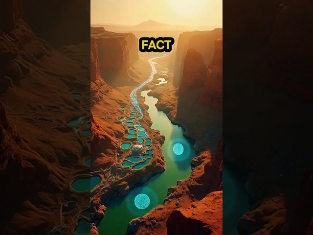 Why This Country Has Zero Rivers Yet Thrives in the Desert 