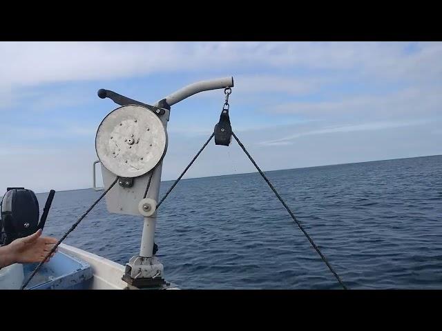 Putting out  lobsters at Loch Ryan in Scotland