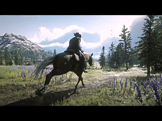 Relaxing Horse Ride in the Rain in Red Dead Redemption 2