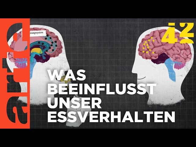 Warum essen wir, was wir essen? | 42 - Die Antwort auf fast alles | ARTE