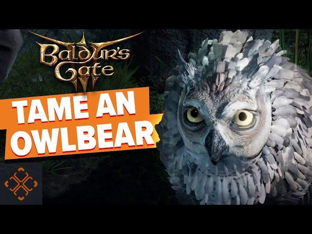 Baldur's Gate 3: How To Get The Owlbear Cub