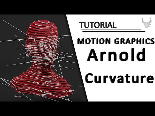 Motion Graphic | Arnold Curvature Map | Cinema 4D Tutorial