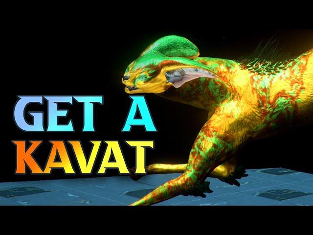How To Get A Kavat In WARFRAME - Kavat Genetic Code Farm 2024 Guide #tennocreate