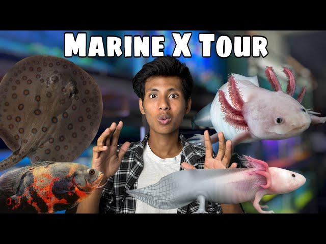 First time exotic Fishes in Lucknow  reasonable price  | Marine X Tour