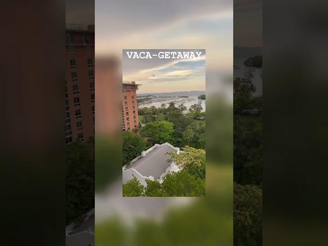 Vaca-Getaway  #humannature #perfectmoments #travel #subscribe