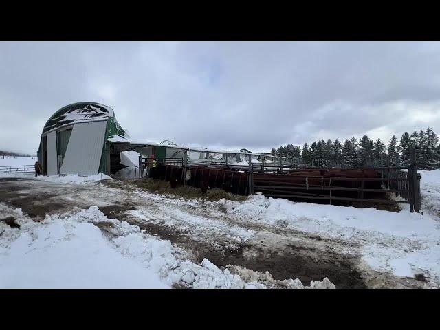 Cows killed after heavy snow causes barn to collapse in Chautauqua County