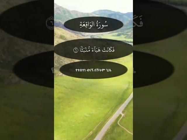 Heart touching quran recitation #muslim #Quran