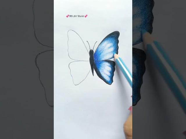 How to draw butterfly step by step 