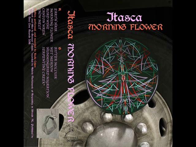 Itasca - Morning Flower