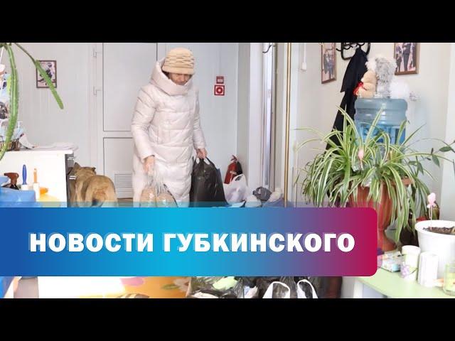 Благотворительная акция для приюта животных "Доброе сердце"