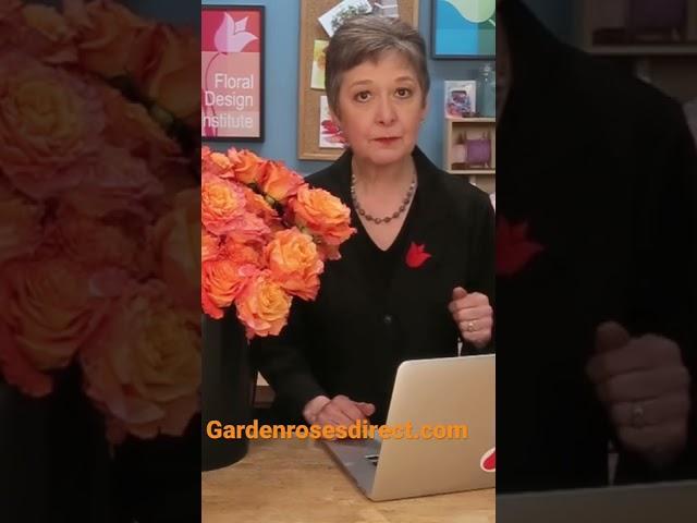 Leanne Kesler of the Floral Design Institute talks about Garden Roses. Direct