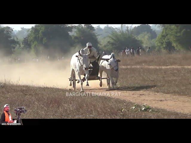 तीसरा दिन All Video   डोंगरिया नंदोरा पट प्रतियोगिता   Pat Pratiyogita Video  Barghati Bhaiya Pat