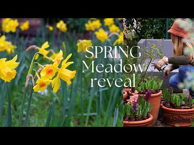 SPRING MEADOW Reveal & GARDEN RESET 🪻️ SPRING GARDEN EP1